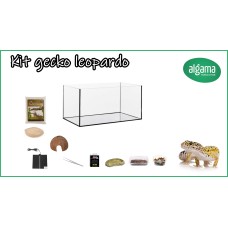 Kit completo Gecko Leopardo